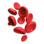 Cardiovascular Information System CVIS